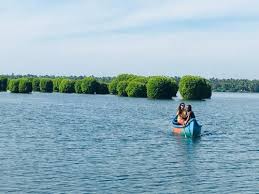 Boating through the tranquil Kavvayi Backwaters near Payyanur