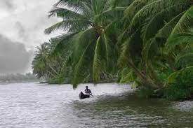 Aerial view of lush islands in Kavvayi Backwaters