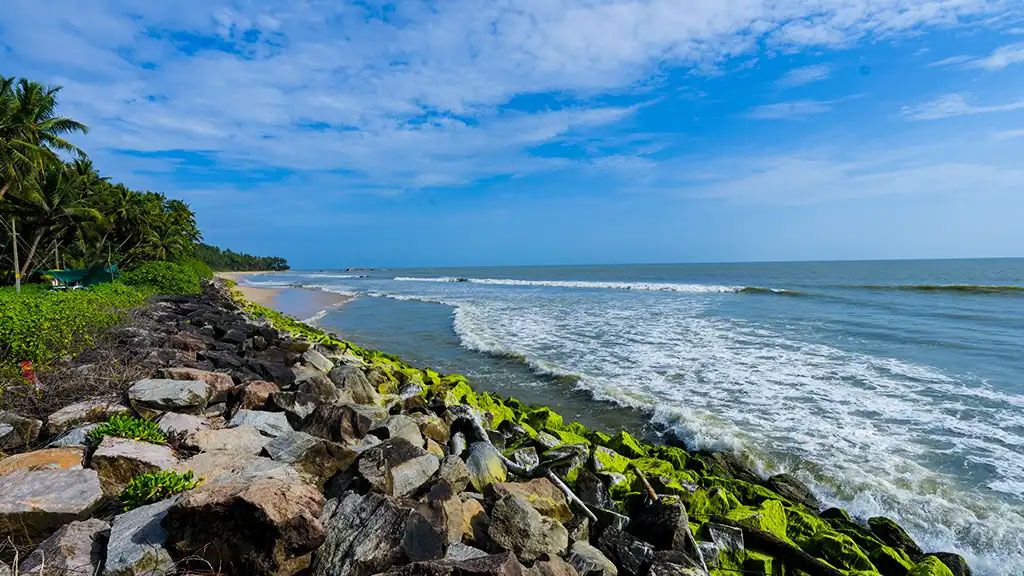 Crab claw resting on the sandy shore of Kizhunna Beach, Kannur