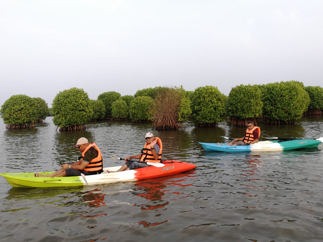 Mangrove Kayaking Kannur
