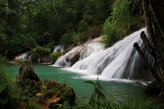 Lush greenery surrounding Meenmutty Waterfalls