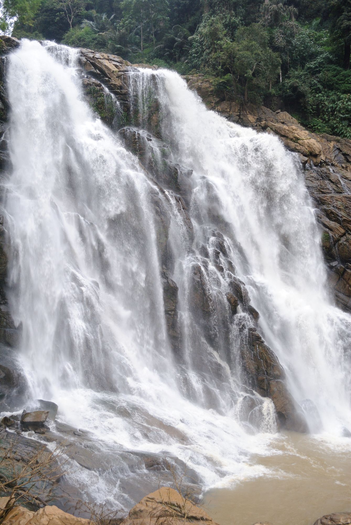 Rainforest trail leading to Meenmutty Waterfall