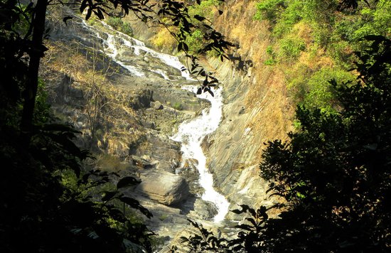 eco-trekking to Meenmutty Falls in Kannur