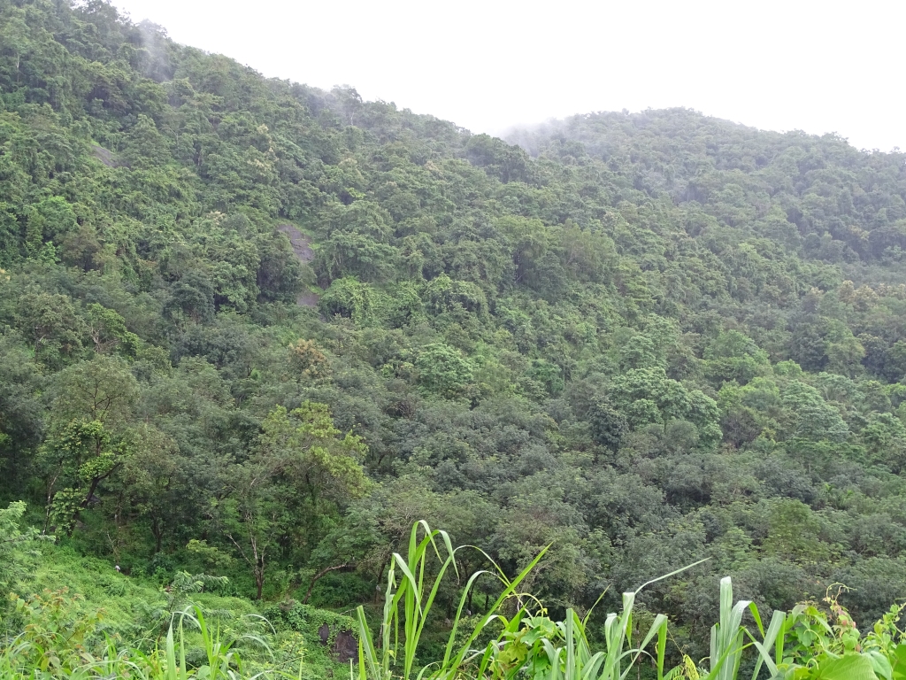 Pazhassi Raja resistance at Puralimala