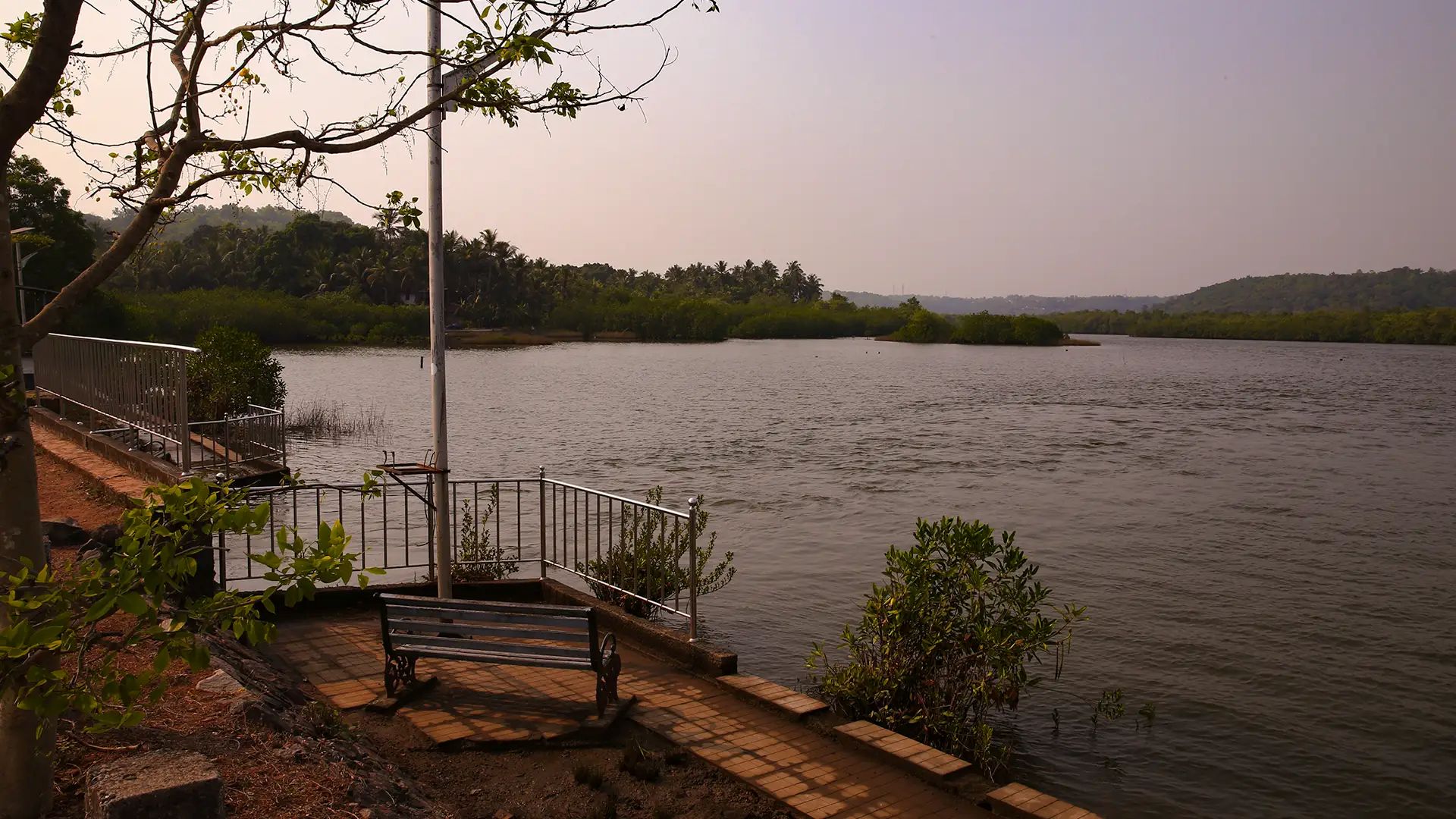 Migratory birds spotted at Vellikkeel Eco-Park backwaters